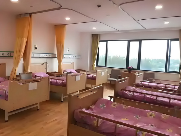 专插本入户深圳算本科吗_佟丽娅儿子正脸曝光，五官气质超像爸爸 的自目前媒体不多上市公司