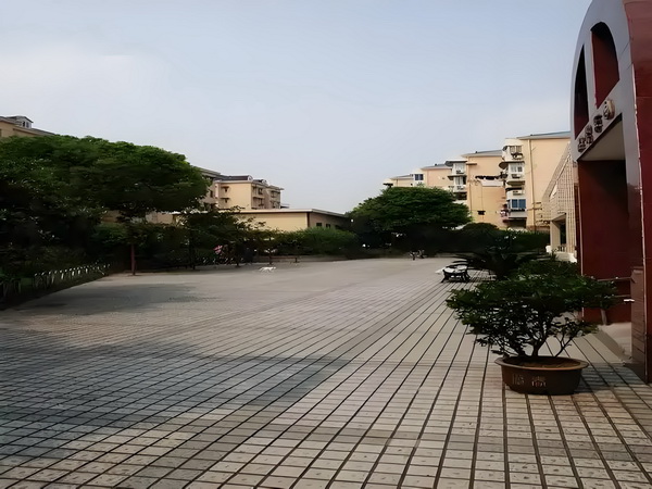 如何入户口_陈梦与演员任嘉伦一起打乒乓球，两人系发小+队友 任嘉伦一起示：还表客服